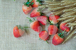 Strawberry hemp bags