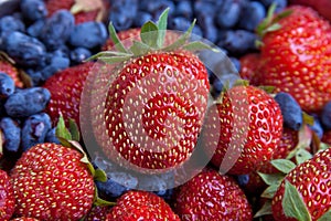 Strawberry and honeysuckle