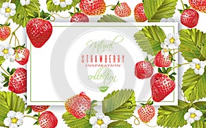 Strawberry horizontal banner