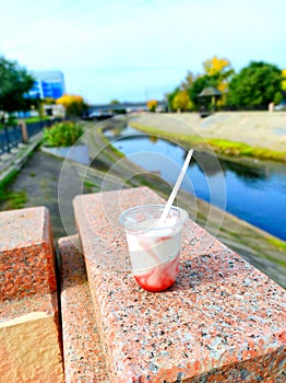 Strawberry ice cream on granite by the river