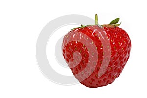 Strawberry isolated