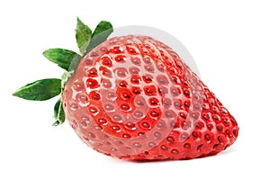 Strawberry isolated