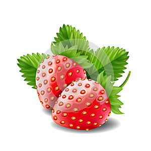 Strawberry isolated on white background