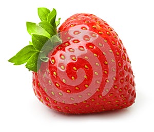 Strawberry isolated photo