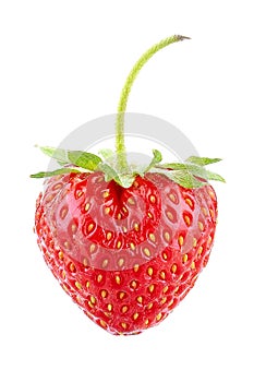 Strawberry isolated white background