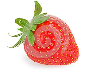 strawberry isolated on white background. clipping path