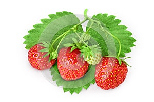 Strawberry isolated on white background. Fresh berry with clipping path and full depth of field. Top view. Flat lay