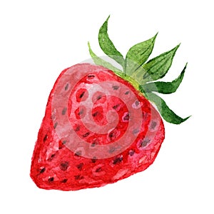 Strawberry isolated on white, watercolor illustration