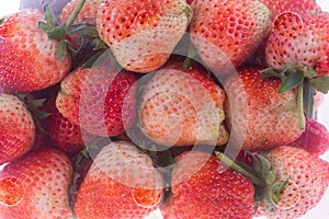 Strawberry juicy fruit in plastic box