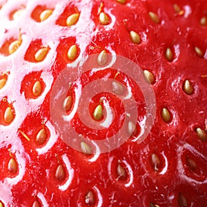 Strawberry macro