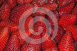 Strawberry macro