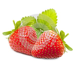 Strawberry macro