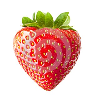 Strawberry macro