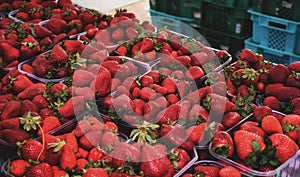 Strawberry market