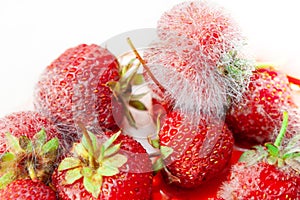 Strawberry with mold