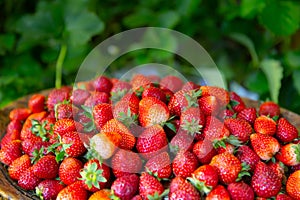 Strawberry most pesticide residue fruit danger