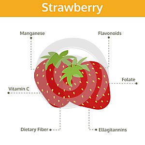 Strawberry nutrient of facts and health benefits, info graphic