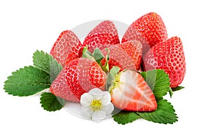 Strawberry. Organic strawberries with leaves and plant flower isoalted on white