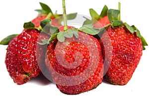 Strawberry over white background