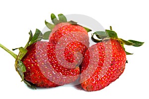 Strawberry over white background