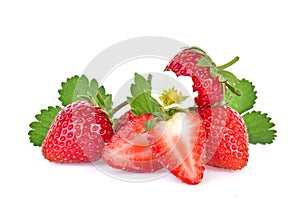 Strawberry plant with leaves, berries and flower, isolated on white background