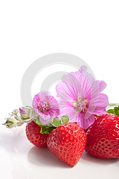 Strawberry on a plate decorated with malva flowers photo