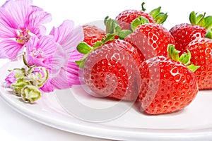 Strawberry on a plate decorated with malva flowers photo