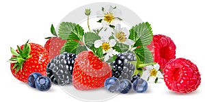 Strawberry,raspberry,blackberry, bilberry, blueberries isolated