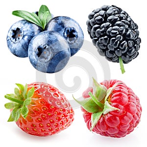 Strawberry, raspberry, blueberry, mulberry isolated on white