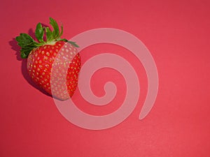 Strawberry on a red card background