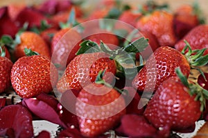 Strawberry red delicious fresh with green leaves