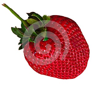 strawberry red strawberry white fruit seasonal fruit