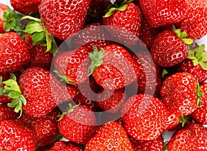 Strawberry. Ripe berries. Fruit background