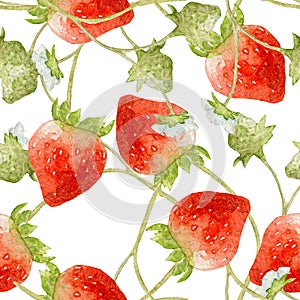 Strawberry seamless pattern. Hand drawn illustration of berries on white background