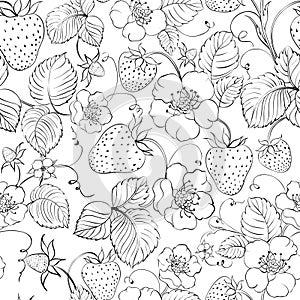 Strawberry seamless pattern. Vector botanic.