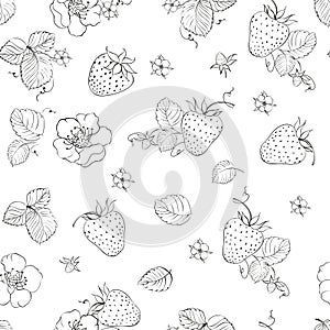 Strawberry seamless pattern. Vector botanic.