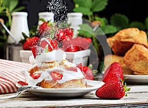 Strawberry Shortcake with Sprinkling Confectioners Sugar 2
