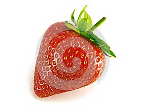 Strawberry, single.