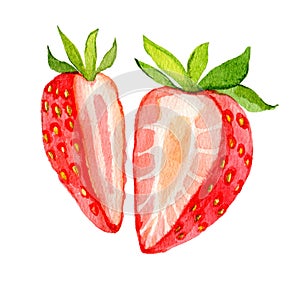 Strawberry, slices. Cut strawberries into pieces isolated on white background, watercolor