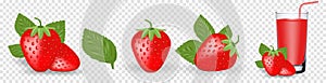 Strawberry and slices of strawberry flower, petals. Vector illustration of strawberrys. Vector illustration for