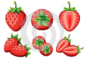 Strawberry and slices of strawberrys. Vector illustration of strawberrys. Vector illustration for decorative poster, emblem natura