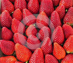 Strawberry solid square background