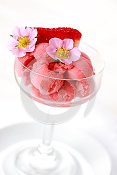 Strawberry sorbet