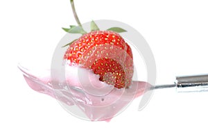 Strawberry in the Spoon