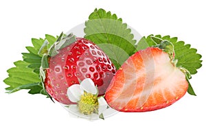 Strawberry strawberries berry berries fruit fruits leaves isolated on white