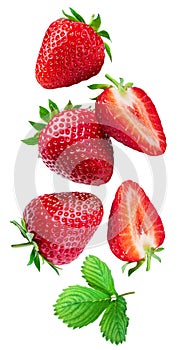 Strawberry with strawberries leaves and slices isolated on a white background. Clipping path