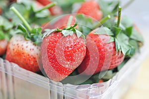 Strawberry or strawberry in the box