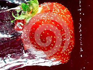 Strawberry swimming through water