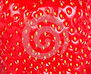 Strawberry texture photo