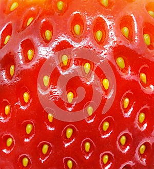 Strawberry texture. Macro shoot.
